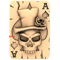 Ace of Spades. Death Card.